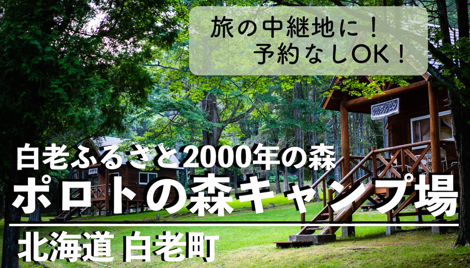 白老ポロトの森キャンプ場に熊出没 料金 予約 サイト選びのポイントを解説 Possibility Laboポジラボ 北海道キャンプ場ブログ