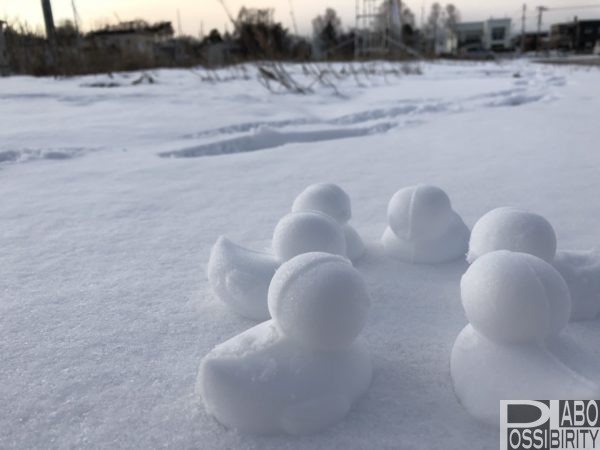 雪ひよこで冬を楽しもう！雪玉製造機アヒル型はプレゼントにもおすすめ♪｜Possibility.Laboポジラボ＊北海道キャンプブログ