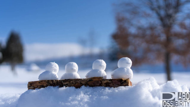 雪ひよこ雪玉製造機あひる型冬プレゼント