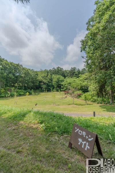 安平町,ときわ公園キャンプ場,リニューアル,新設,ソロサイト,フリーサイト,区画サイト,予約