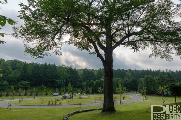 安平町,ときわ公園キャンプ場,リニューアル,新設,オートサイト,フリーサイト,区画サイト,予約,