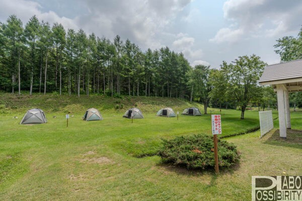 安平町,ときわ公園キャンプ場,リニューアル,手ぶらキャンププラン