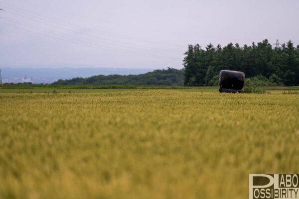 北海道,十勝,音更,山のばあちゃんち,キャンプ場,新しい,2024年オープン,車中泊,オートサイト,