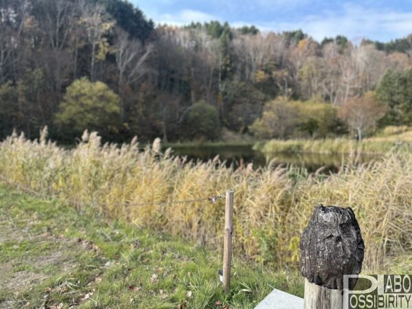 当別町キャンプ,北海道ふくろう乃湯リゾート,キャンプ場,温泉,料金,炊事場