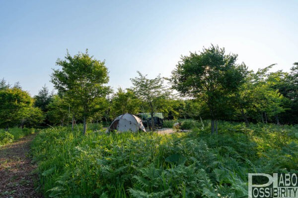 KOYA.lab陵雲荘,コヤラボキャンプサイト,北海道足寄町,新サイト,オート,車,ペット可