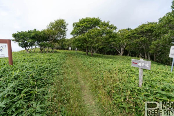 来止臥(キトウシ)野営場,北海道釧路町,キャンプ場,トイレ,炊事場,車中泊,無料,写真,ブログ,体験談,口コミ