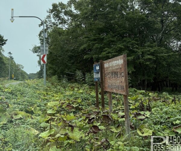来止臥(キトウシ)野営場,北海道釧路町,キャンプ場,トイレ,炊事場,車中泊,無料,写真,ブログ,体験談,口コミ
