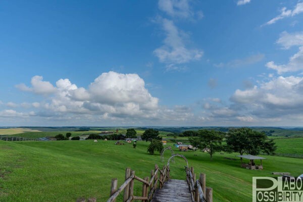北海道,標茶町,多和平キャンプ場,展望台,標茶町育成牧場,Blog,写真,体験談,料金,ペット