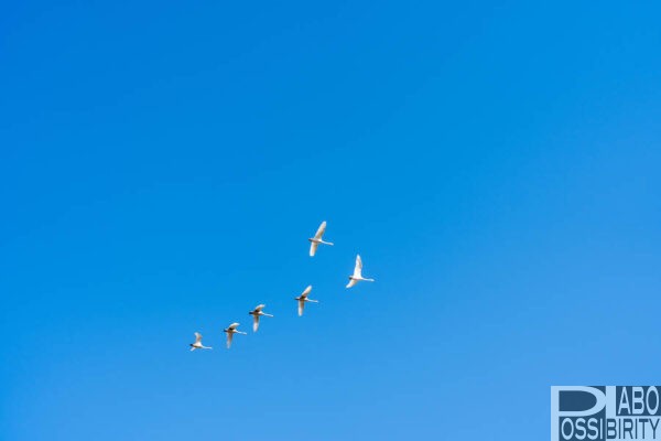 北海道長沼町,NAGANUMABlueBase,ブルーベース,1日1組限定,貸切,プライベート,キャンプ場,焚き火カフェ,体験レポート,ブログ