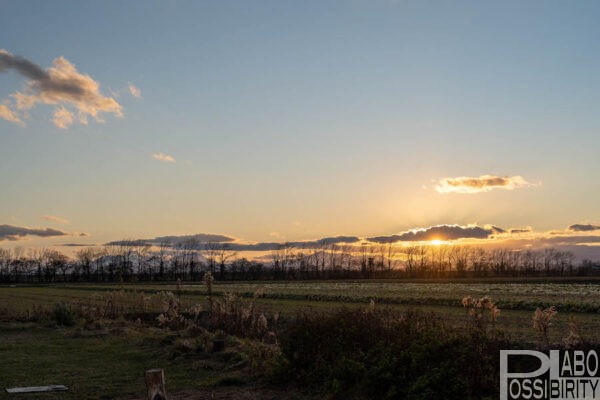 北海道長沼町,NAGANUMABlueBase,ブルーベース,1日1組限定,貸切,プライベート,キャンプ場,焚き火カフェ,体験レポート,ブログ