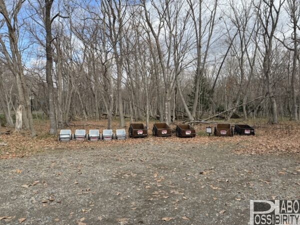 北海道弟子屈町,屈斜路湖畔,砂湯野営場,RECAMP砂湯,キャンプ場,グランピング,体験談,口コミ,ブログ