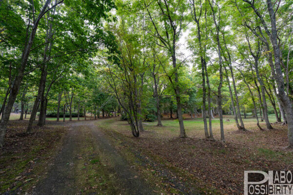 北海道豊富町, 兜沼(かぶとぬま)公園キャンプ場,兜沼オートキャンプ場,サイト種類,料金,予約方法,コテージ,景色,写真,Blog,ブログ,トイレ,たき火